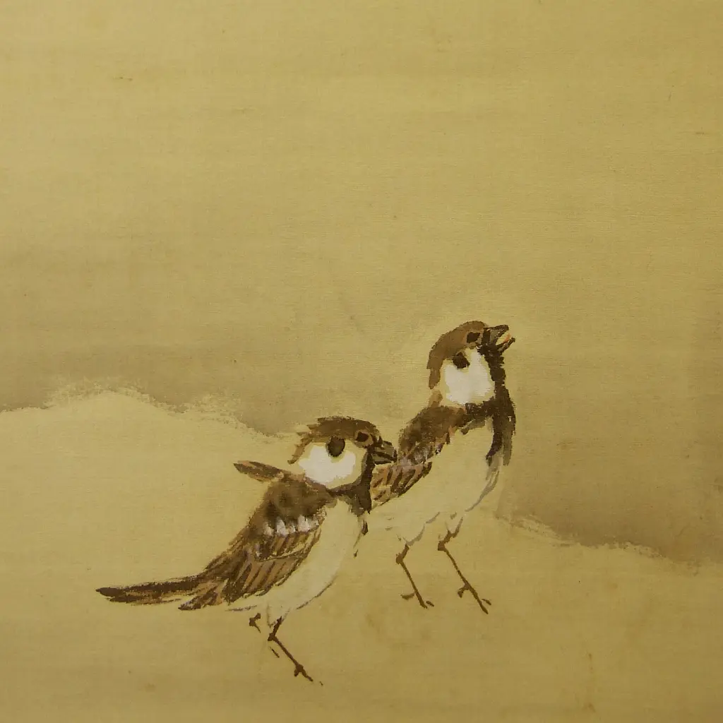 Takeuchisparrows